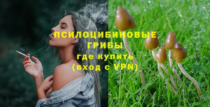 Галлюциногенные грибы Magic Shrooms  Новошахтинск 